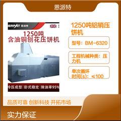 BM-125311250噸鋁銷壓餅機